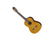 Classical & Nylon-String Guitars